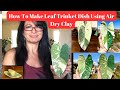 Part 2 how to make jose buono leaf trinket dish with air dry clay comprehensive tutorial beginners