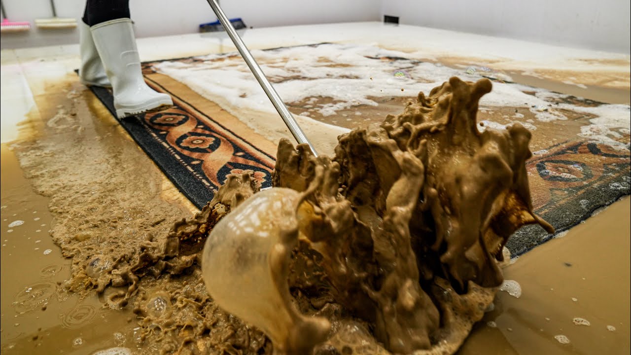 Extremely Dirty Rug Cleaning | Satisfying Carpet Wash ASMR
