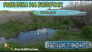 видео: Рыбалка на поплавок в диких местах ШОК ! не ожидал тут такую поймать рыбу ловля на поплавок с берега картинка: Рыбалка на поплавок в диких местах ШОК ! не ожидал тут такую поймать рыбу ловля на поплавок с берега