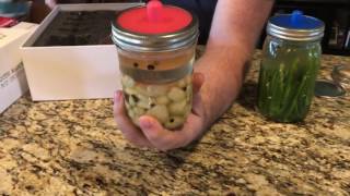 Masontops Complete Mason Jar Fermentation Kit - With Pickle Pipes