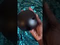 Echo Pop | #AmazonAlexa