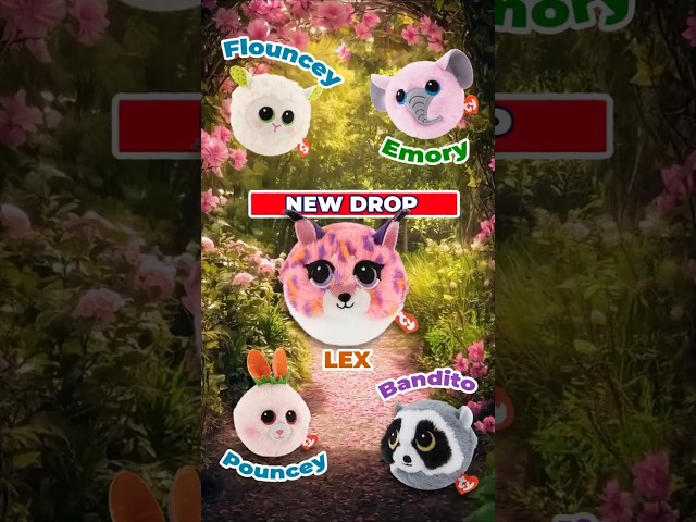 Lex and friends are bouncing straight into the fun!