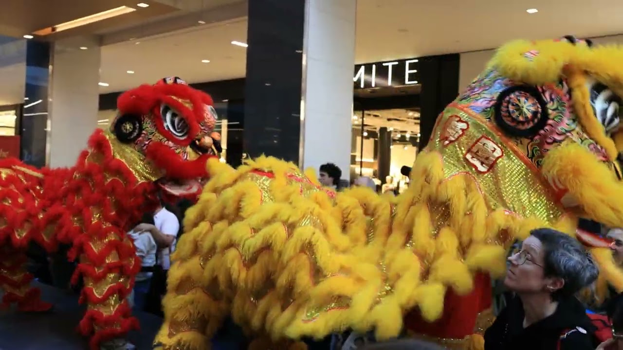 陳氏醒獅團,武術,滿地可華裔小姐於(Eaton Center)慶賀Chinese Lunar New Year 2026
