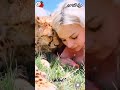 الشيتا والأنثى الأجمل فى العالم صداقات البشر والحيوانات المفترسه