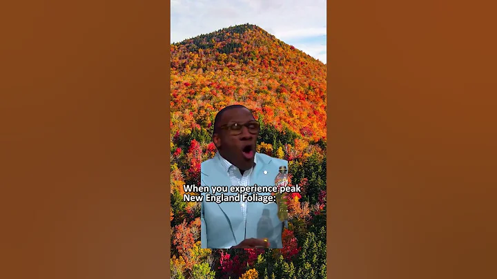 When you experience New England peak Foliage