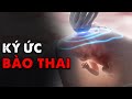 Bạn có thể Nhớ Lại thời điểm trong bụng mẹ... Lý giải khoa học về bí ẩn Ký Ức Bào Thai!