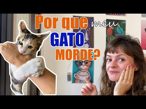 Vídeo: Por que meu filhote de cachorro ataca seu cobertor?