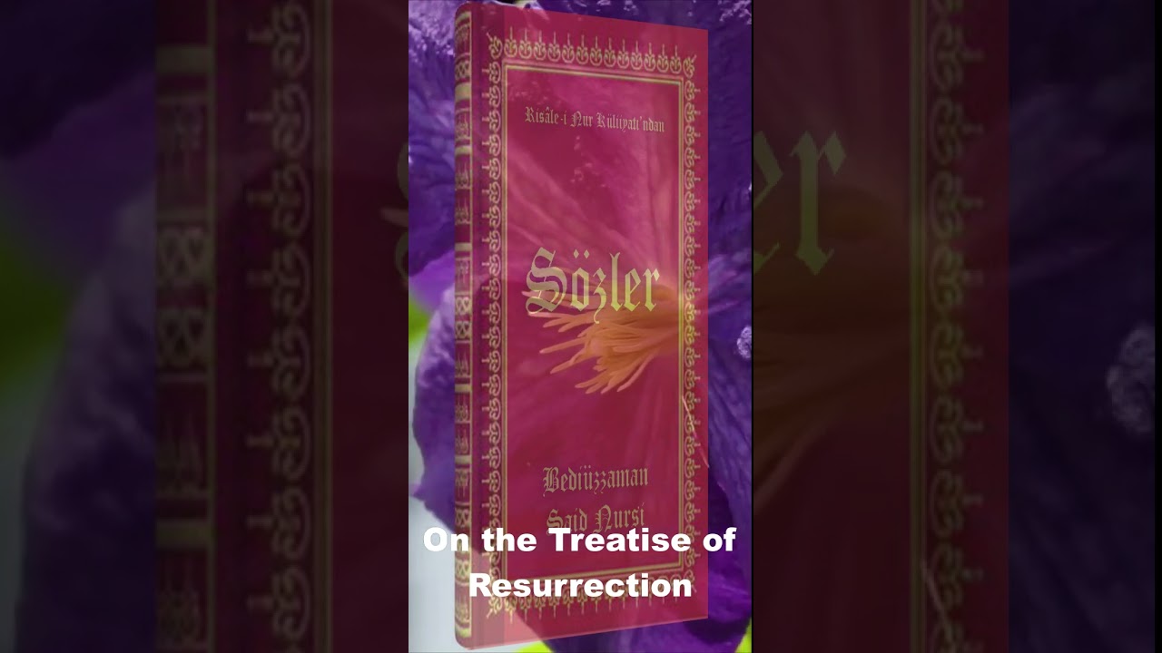On the Treatise of Resurrection 