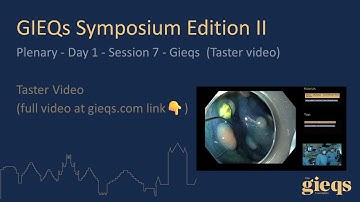 Plenary - Day 1 - Session 7 - Gieqs  (Taster video)