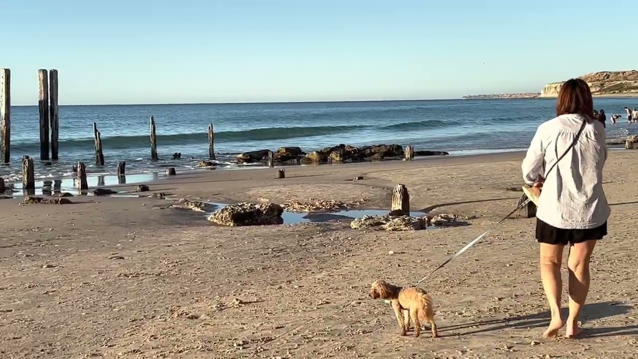 VLOG 2 Port Wilunga - Aldinga Beach, South Australia