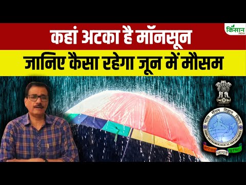 Monsoon 2025 की कैसी रहेगी चाल, कब होगी बारिश, जानिए Dr. SN Pandey का मौसम विश्लेषण। Weather Update
