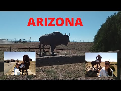 Vídeo: Como é A Feira Do Povo Navajo No Arizona