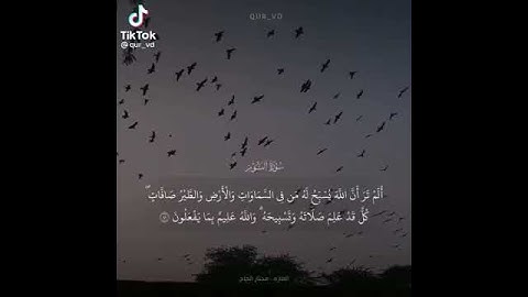 سورة النور ، آيه ٤١ - ٤٢ 🤍
