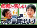 【要注意】癇癪は止めるな｜言葉が出る直前に起きる理由