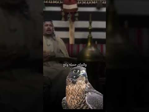 الشاعر حيدر الحاتمي