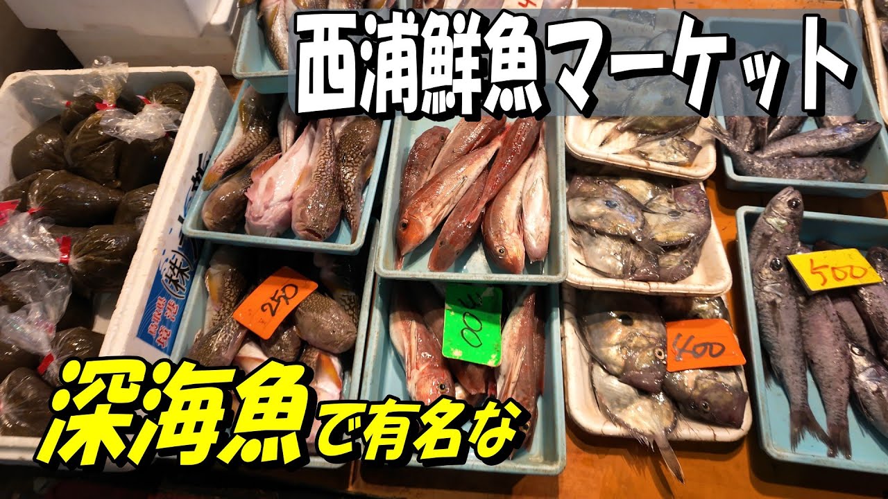【西浦鮮魚マーケット】深海魚で有名なこの市場。水揚げされたばかりの深海魚はあるのでしょうか？