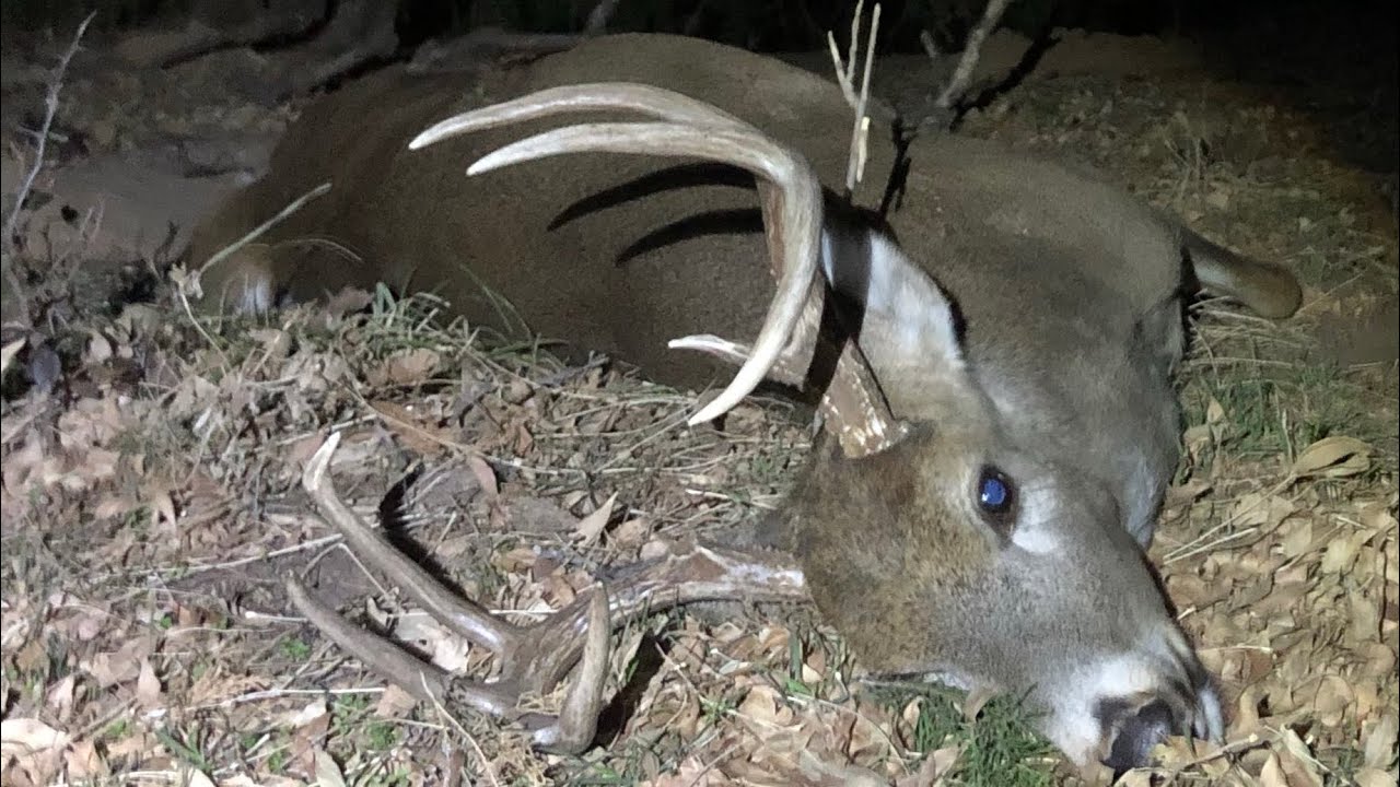 Hunting Western Oklahoma I finally got my first *shot on film* YouTube