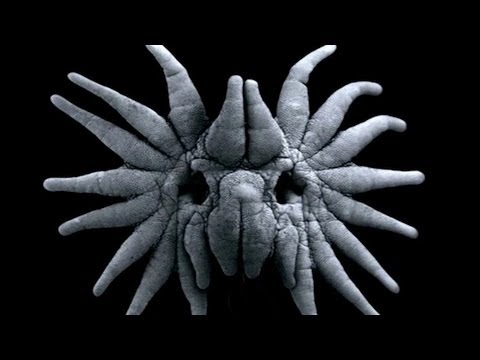 True Facts About The Star Nosed Mole (with Ze Frank) - Earth Unplugged