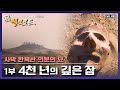 [명작다큐] 고품격 아시아 문명사 다큐멘터리 - 新실크로드 10부작 (KBS-NHK-CCTV 공동제작) | 신 실크로드 1부 “4천 년의 깊은 잠”  (KBS 051027 방송)