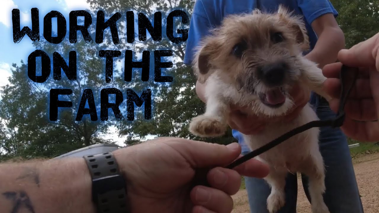 WORKING ON THE FARM 😁😁😁 With Cody