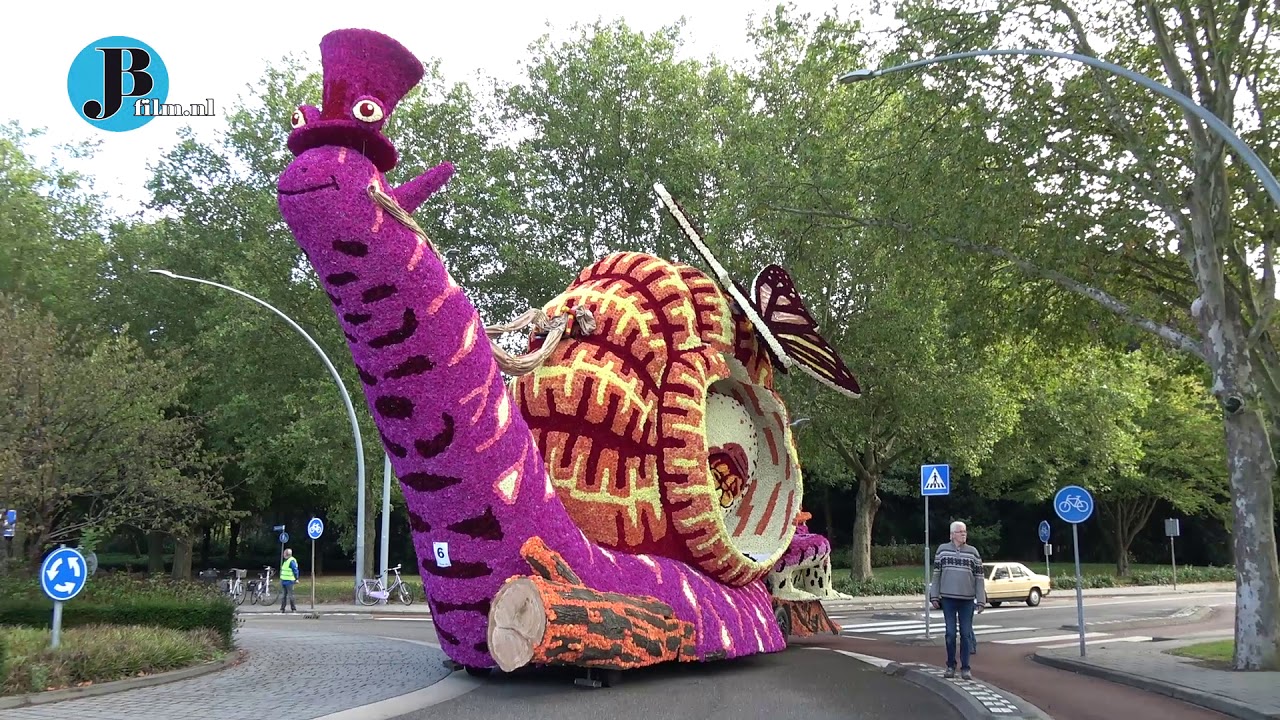 Bloemencorso ochtend  Valkenswaard 2019