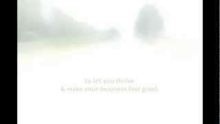 Web Site Intro Video