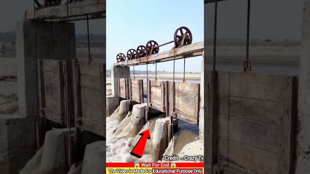 অফিসারের বাটপারি অতঃপর!~mini wood toy woodworking art skill hands crafts #shorts #shortsfeed