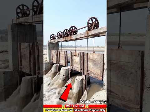 অফিসারের বাটপারি অতঃপর!~mini wood toy woodworking art skill hands crafts #shorts #shortsfeed