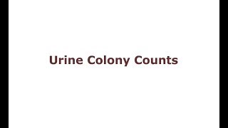 Urine Colony Counts