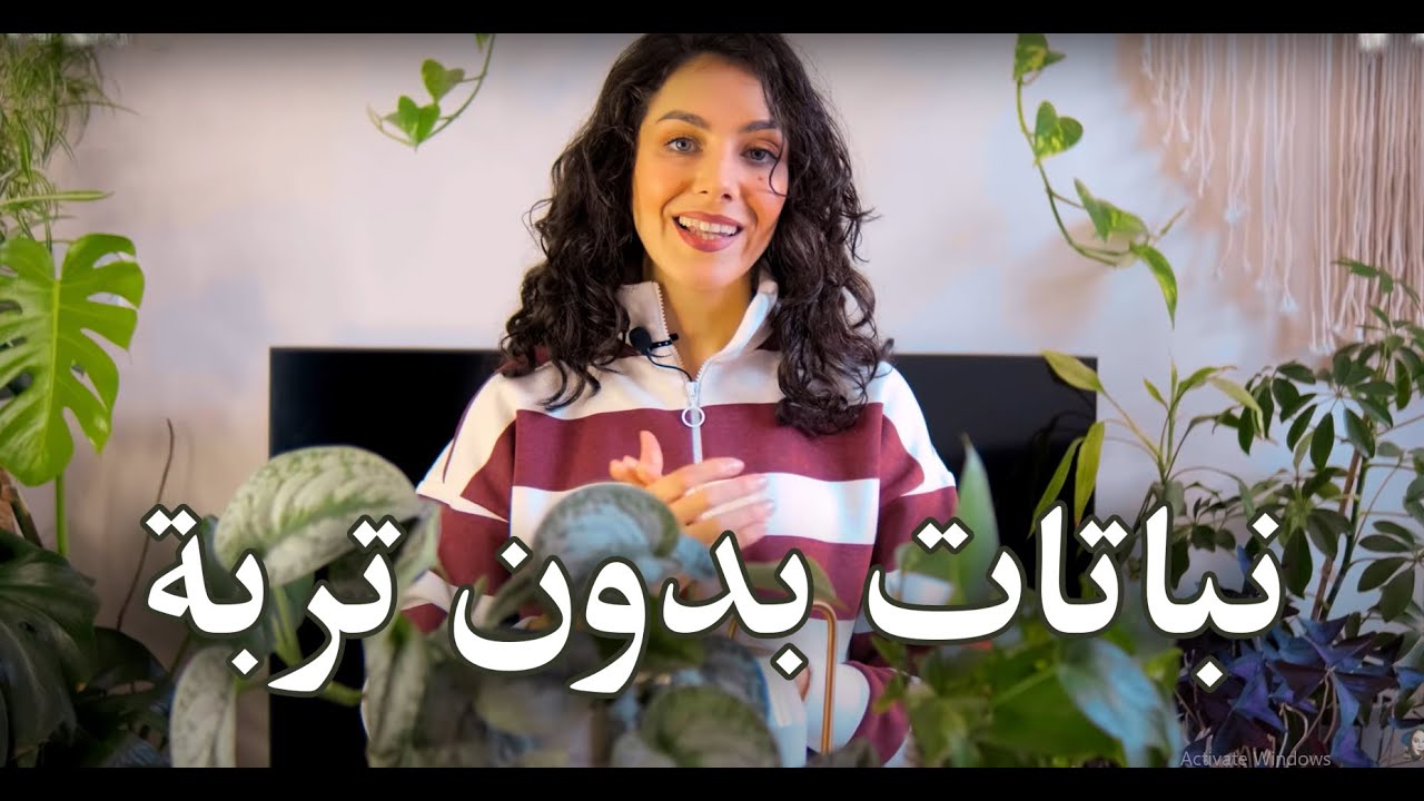 كيف نعتني بالنباتات بالماء بدون تربة + تسميد النباتات