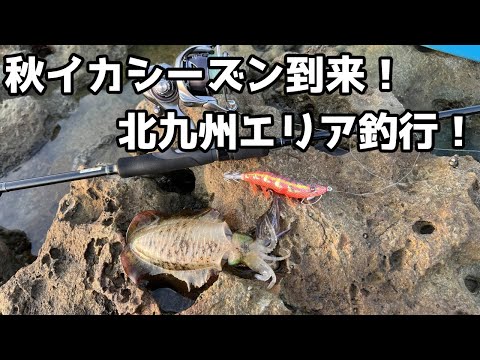 秋イカ到来！北九州エリアでエギング釣行！