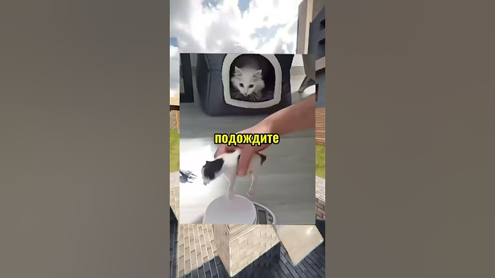 Вирусные видео😂