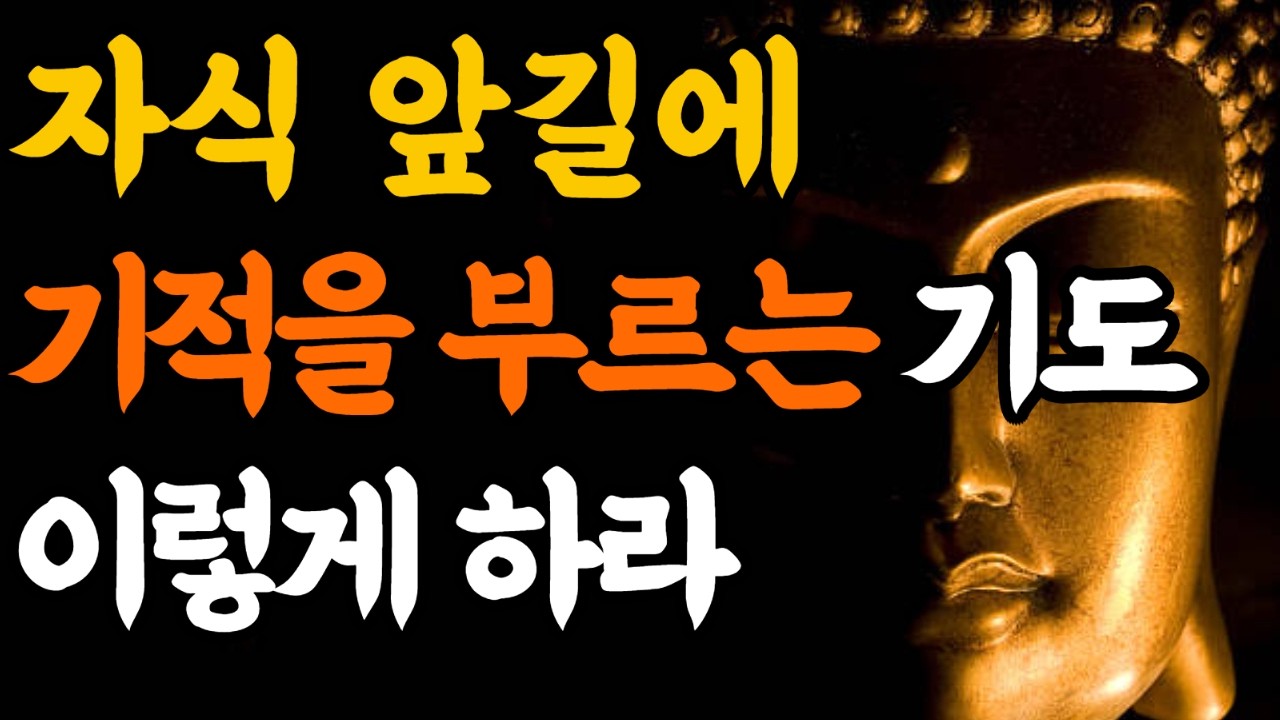 자식 앞길에 기적을 부르는 기도#자식기도#자녀운#부모기도#108배기도#시험기도#취업기도#결혼기도#불교기도#부처님말씀#운이열리는기도#업장소멸#새벽기도#자녀축원#마음치유#나무아미타불