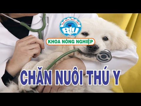 Video BLU Chăn Nuôi Thú Y - YouTube