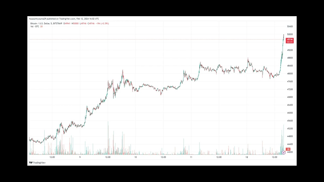Patience Rewards: 2021 Bitcoin Bull Buyers Back In Green As BTC Hits $50,000
