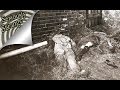 3 Terrifying Unsolved Mysteries | SERIOUSLY STRANGE #24