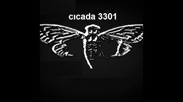 cicada 3301 the music