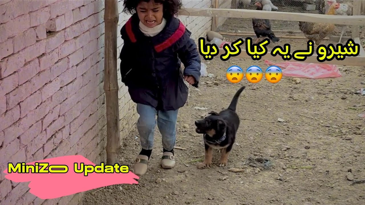 Shero ny acha nhi kia aj 😨 pory zoo ki halat khrab kr di h 