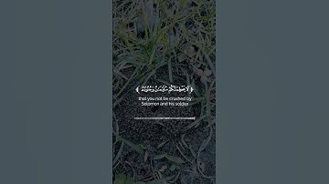 قرآن |سورة النمل |الآيات 18-19 Quran |surah Al-naml |Quranic verse 18-19