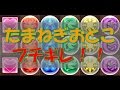 【ねてて＆たまねぎおとこ】たまねぎおとこ、ブチギレ！！