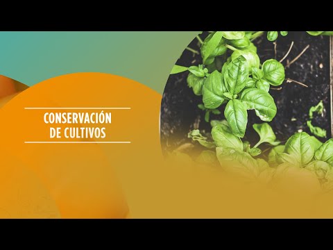 Preview de Conservación de cultivos
