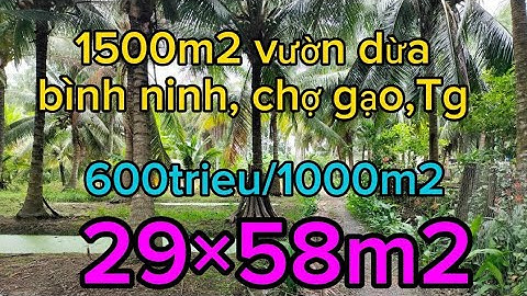 Ms90❤️ Bán đất vườn bình ninh, chợ gạo,Tg. Dt 1500m2. giá 600trieu/1000m2. LH 0815.827.830