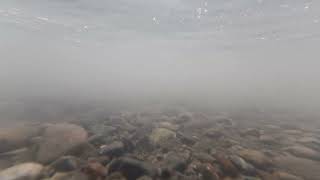 Test Clip #2