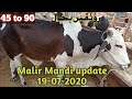 Malir Mandi latest update 19-07-2020 ||mandi update |ملیر منڈی