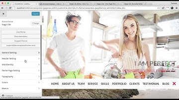 Free WordPress Theme Gaga Lite - How to Configure Blog and Call to Action Section | WordPress Tute