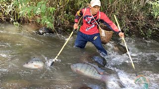 dapat banyak babon⁉️nyetrum ikan dispot banyak ikannya