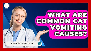 What Are Common Cat Vomiting Causes? - PetGuide360.com