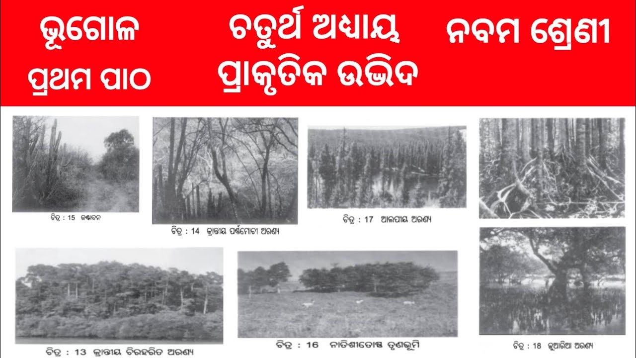 Prakrutika udbhida | Class 9 Bhugol | geography | odia midium | Odisha Education Knowledge 
