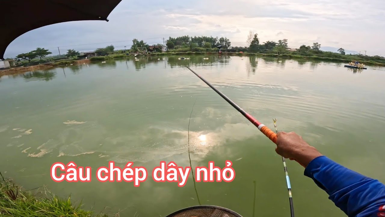 Fishing | Câu Đài | Câu Cá Chép Ngày Mưa Bảo Hồ A Thiên | Nghiện Câu TV