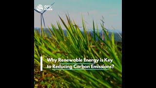 Why Renewable Energy is Key to Reducing Carbon Emissions